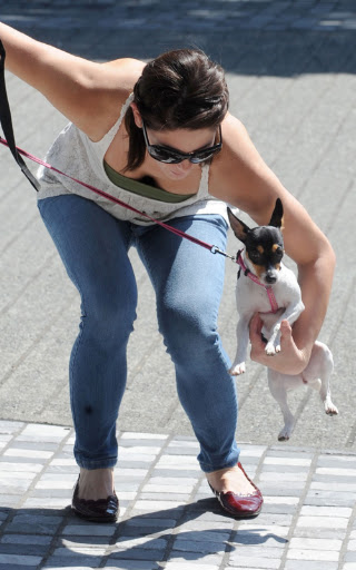 Ashley Greene struggles with her stubborn dog, in Vancouver. The Twilight star was seen walking her dog in downtown Vancouver and seemed to be struggling picking it up as she went about her day. Ashley is in town filming the 3 Twilight film 'Eclipse' <P> Pictured: Ashley Greene <B>Ref: SPL120510 200809 </B><BR/> Picture by: Whittle/Beetham / Splash News<BR/> </P><P> <B>Splash News and Pictures</B><BR/> Los Angeles: 310-821-2666<BR/> New York: 212-619-2666<BR/> London: 870-934-2666<BR/> photodesk@splashnews.com<BR/> </P>
