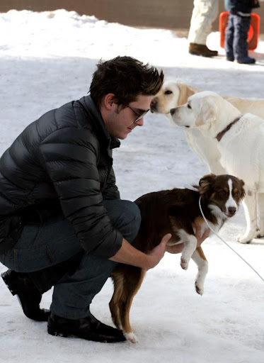 zac-efron-playing-with-dogs (3).JPG