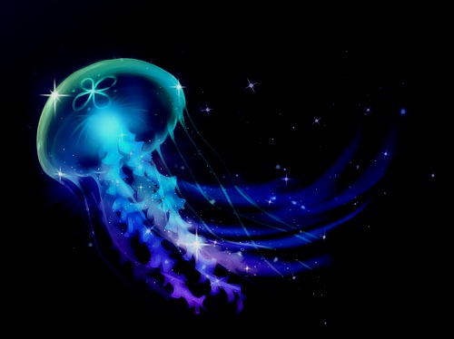 jellyfish_by_kikariz-d30j5un