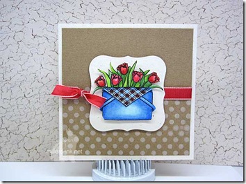 IMG_1905web