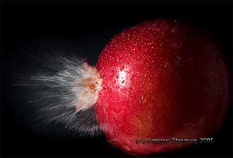 high_speed_photography_apple