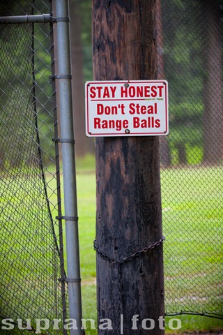 [IMG_5008[3].jpg]