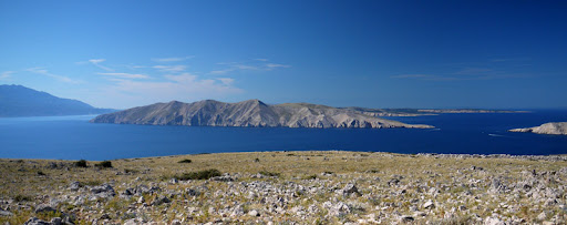 P1200528e.jpg