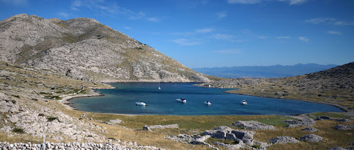 P1200503e.jpg