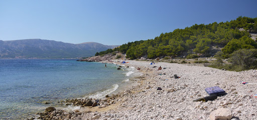 P1210443e.jpg