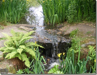 DSCF0441