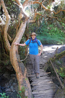 DSC_6130.JPG Photo