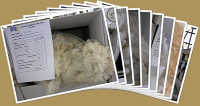 View British Alpaca Futurity 2010 Shorn Fleece