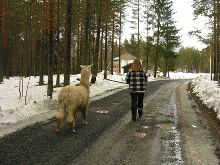 [Grimetrening med Beachcomber 004[2].jpg]