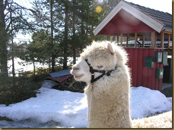 Andre påskedag 126