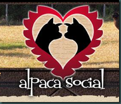 alpacasocial