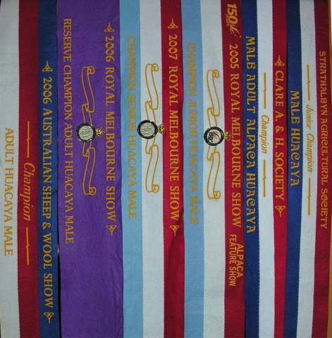 [ribbons[3].jpg]