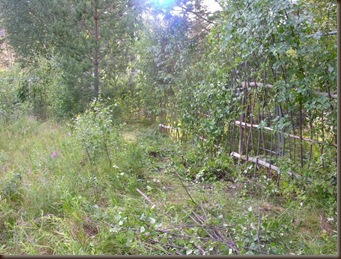 pacaoggjerde 014
