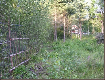gjerdet (langsiden) ferdig 002