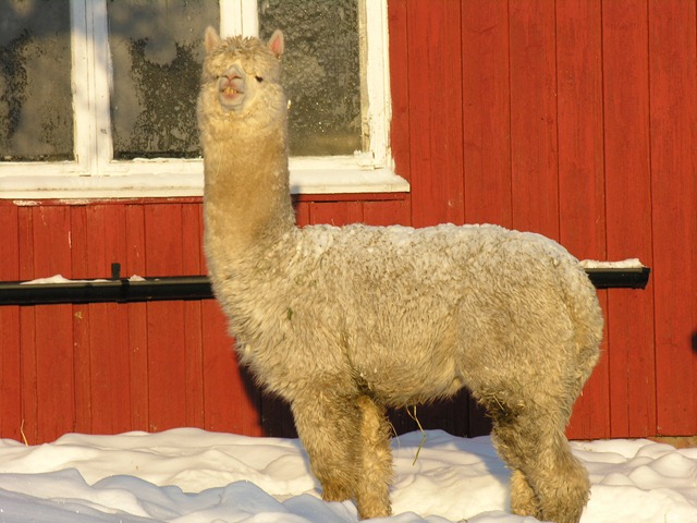 [Vinterdag etter nyttår 011[2].jpg]