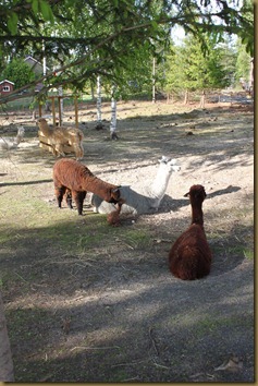 He looks so tiny next to his mother. Paris checks him out