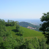 SANY0370.jpg