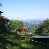 SANY0374.jpg