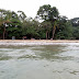PB230048.JPG, 2009.11.21 Costa Rica