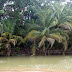 PB230061.JPG, 2009.11.21 Costa Rica