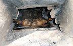 tail (or tale) of lechon