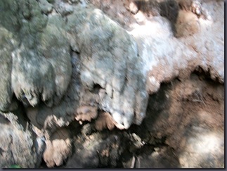 100_0432 100_0432