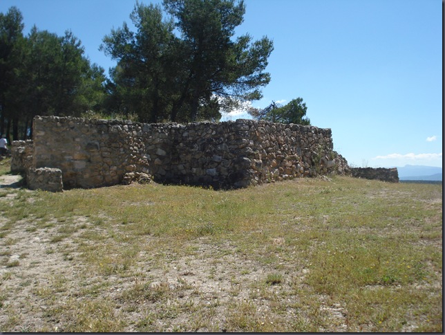 DSC04347 DSC04347
