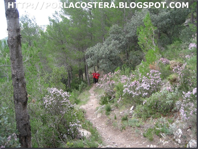 senda el capurutxo font la figuera00