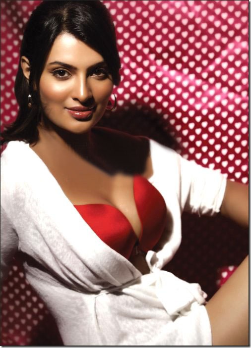 Sayali Bhagat posing in her underwear for the February 2010 issue of The Man Magazine… (4)