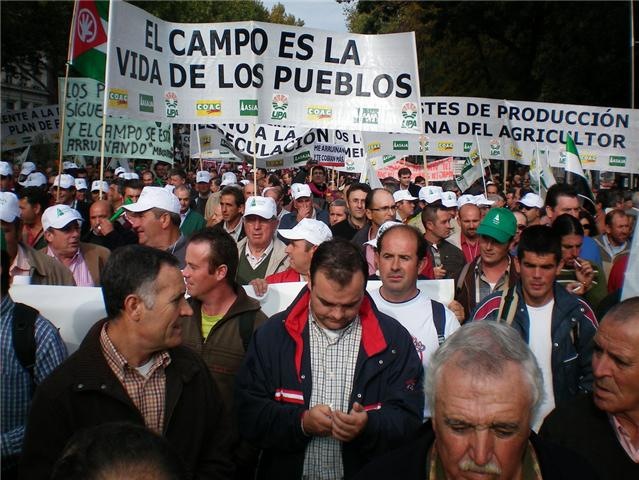 [manifestacion madrid1[6].jpg]