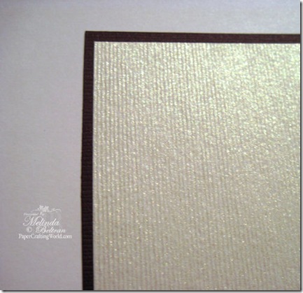 nero paper close up2 500 nero paper close up2 500