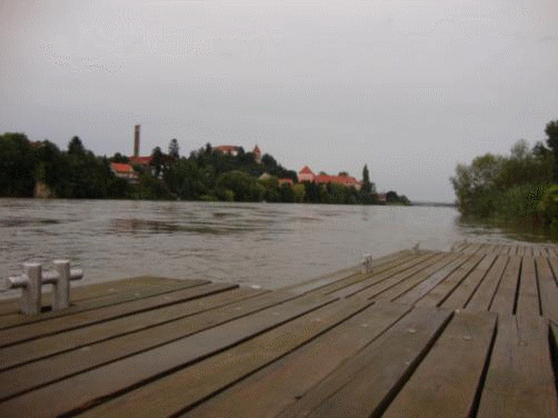 [gif drava[3].gif]