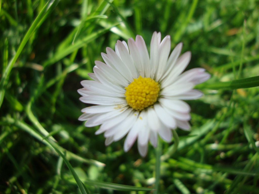 [bloom (19)[5].jpg]