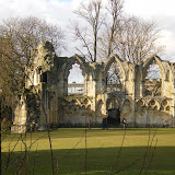 The Winter Sun at Museum Gardens in York