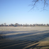 Frost on the Naves Mire in York