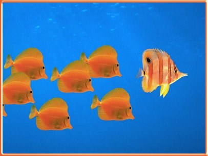 Follow the Leader.jpg