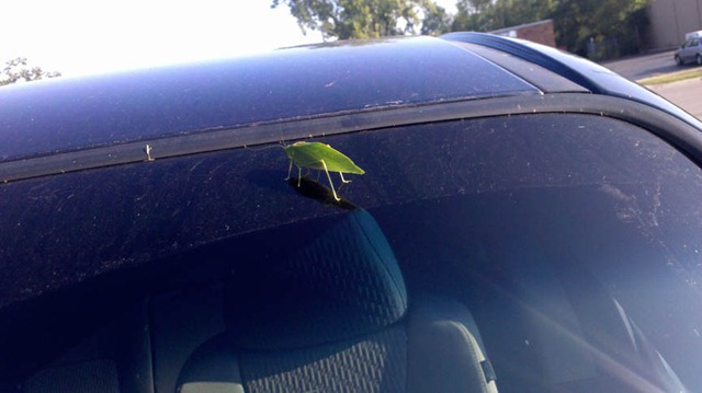 [2010-08-31_09-06-16_499[3].jpg]
