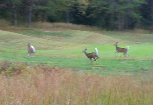 [2010-10-05_09-56-42_204[3].jpg]