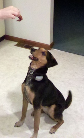 [2011-03-06_20-50-39_947[2].jpg]