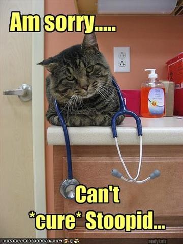 [cat-says-your-disease-is-incurable (Small)[11].jpg]