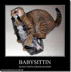 cat-babysitting cat-babysitting