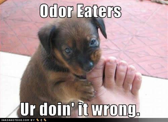 [dog-odor-eaters (Small)[1].png]