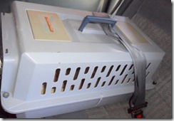 Carrier-seat-belted Carrier-seat-belted
