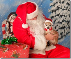 Paco-Santa Paco-Santa
