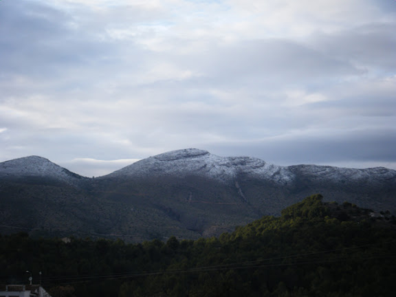 2010_01080004.jpg