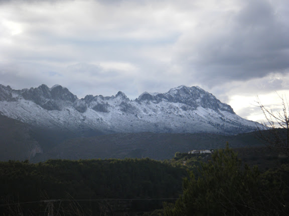 2010_01080005.jpg