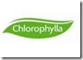 logo chl logo chl