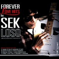 [FOREVER LOVE HITS By SEK LOSO[3].jpg]