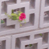 100_0995.jpg