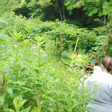 7_6_2008_013.jpg